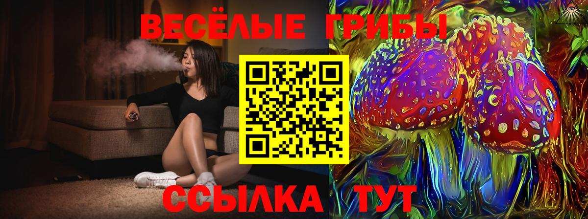 закладки  Вход с VPN  Аксай  Псилоцибиновые грибы Psilocybine cubensis 